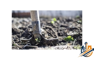 Tarımda Gübre Devrimi: Bakanlıktan Tedarik Krizine...