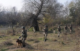 Sınırda Yakalandılar: Yurt Dışına Kaçmaya Çalışan...