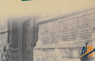 Pal Sokağı Çocukları: Küçük Kalplerdeki Dev Cesaretin Zamansız Hikâyesi