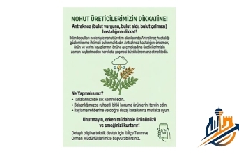 Nohut Üreticilerine Kritik Uyarı: "Bulut Vurgunu" Hastalığına Dikkat!