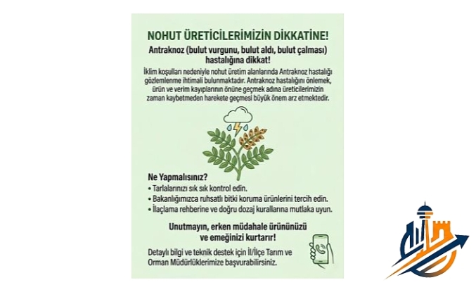 Nohut Üreticilerine Kritik Uyarı: "Bulut Vurgunu" Hastalığına Dikkat!
